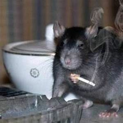 22 BARBAGE Prod MrGreenz (Instrumental)