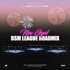 Skinny Fabulous & Madness Muv - New Gyal (DSM League Roadmix)