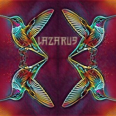 HUMMINGBIRD 2nd Edit