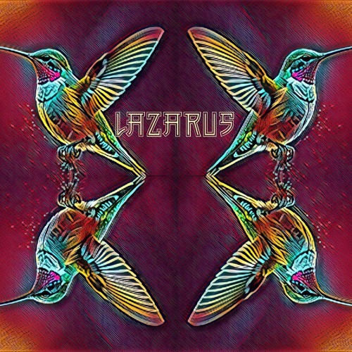 HUMMINGBIRD 2nd Edit