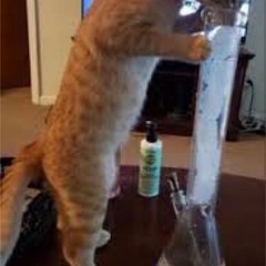 okae x FinnTheAlchemist x souufa - cale zycie na pizdzie