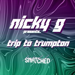 Nicky G - A Trip To Trumpton