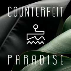 Counterfeit Paradise Discography