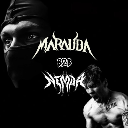 What If Nimda B2B Marauda