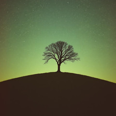 Sou Estrangeiro Nessa Terra Fria - Projeto Naves