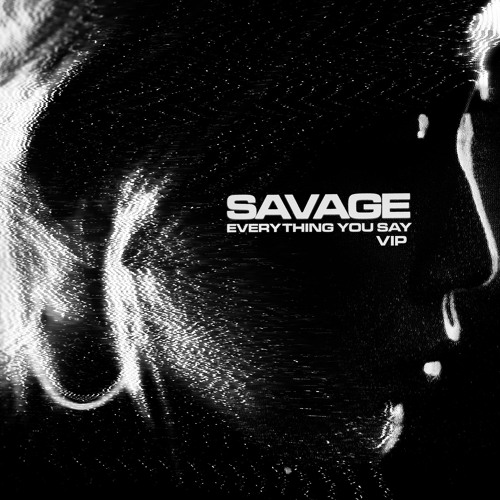 EVERYTHING YOU SAY (VIP)