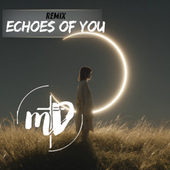 Echoes of You (remix)