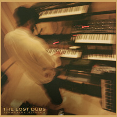 Ash Walker X Deep Heads: The Lost Dubs [Album Mini Mix]