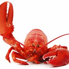 Deine Bitch - OG Kolle