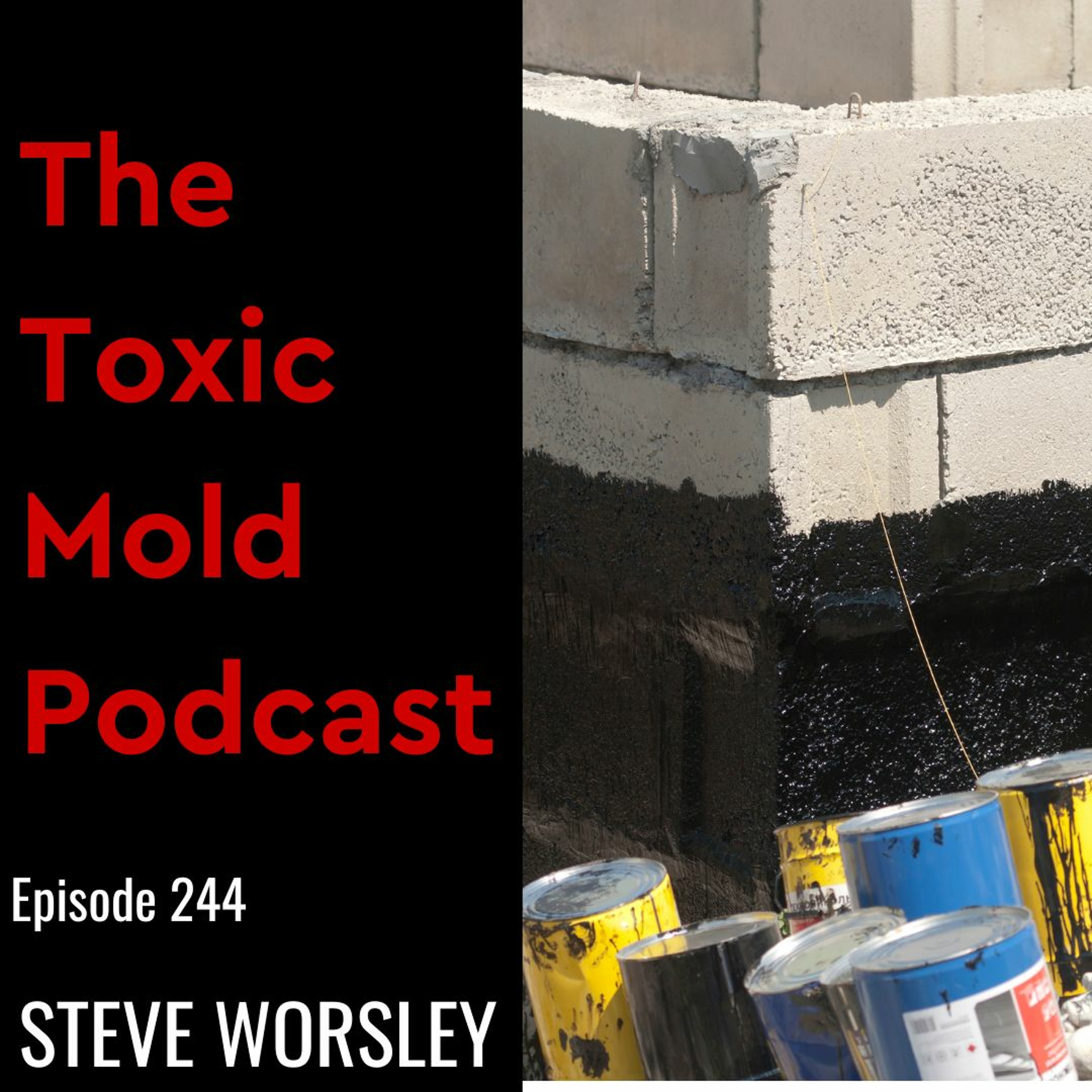 The Toxic Mold Podcast