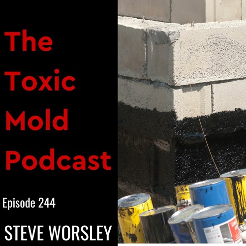 EP 244: Proper Waterproofing to Prevent Toxic Mold Growth