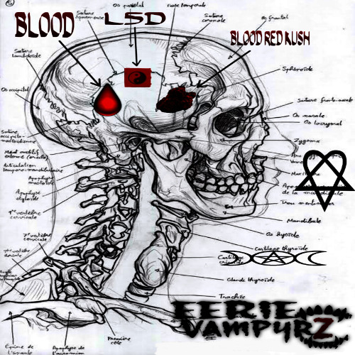 [zinc] anatomy #🩻| zinc + yung envy (walronD!) ##EERIEVAMPYRZ🩸