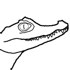 Baby Crocodile