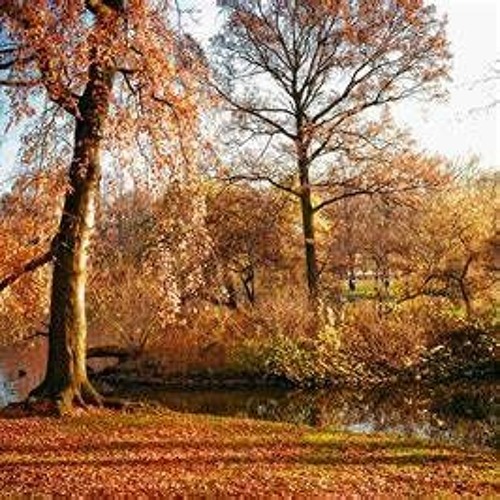 Autum