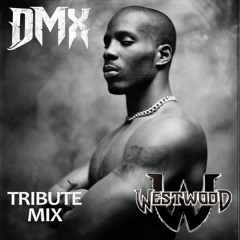Westwood - DMX tribute mix