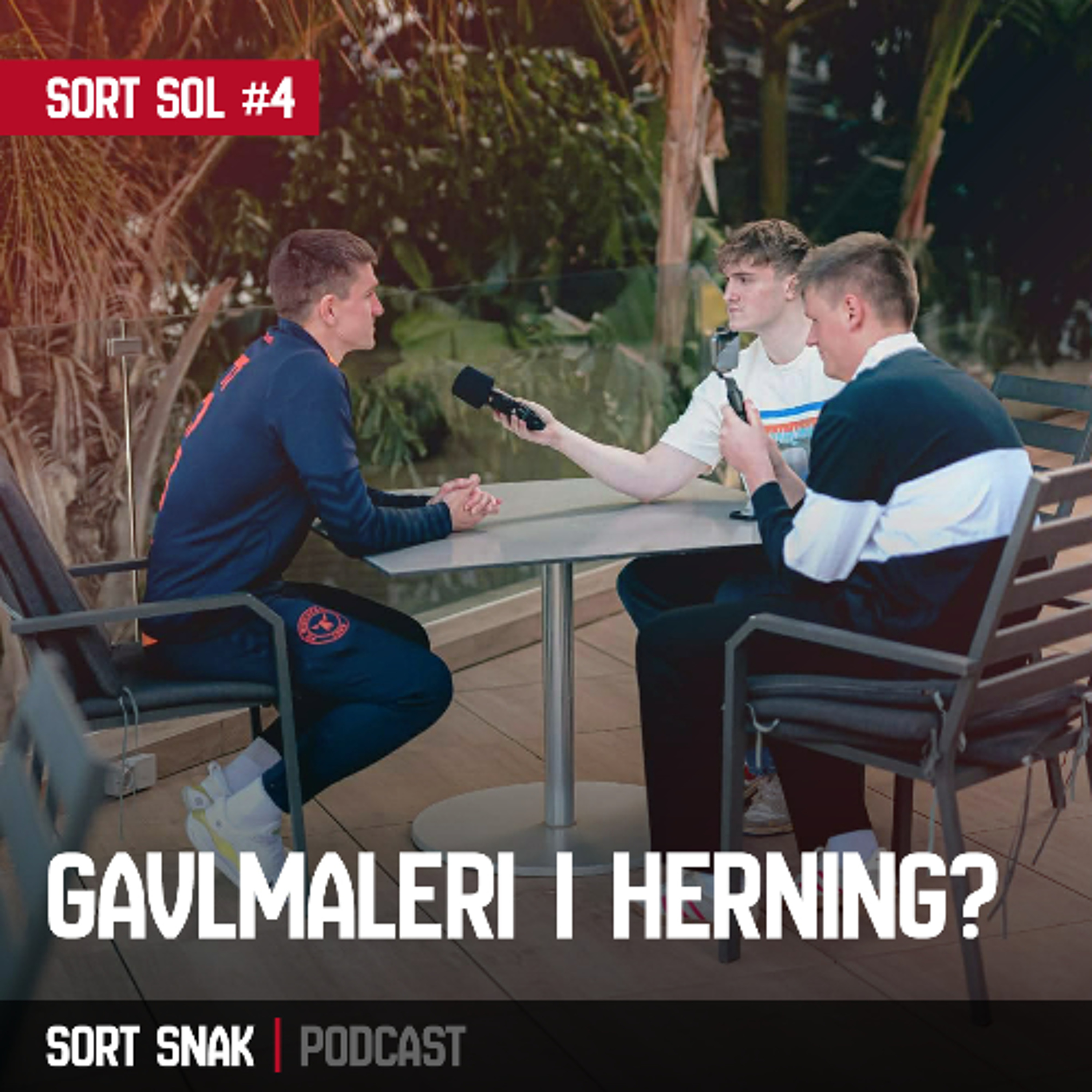 Sort Sol #4 - Gavlmaleri i Herning?