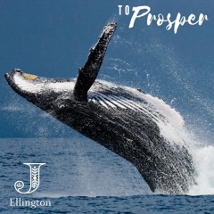To Prosper (God's Love)