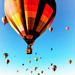 fly