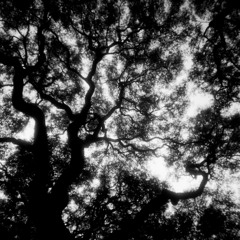 NACHO ARTERO - DEEP HOUSE & HOUSE MIX