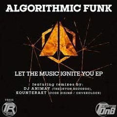 Algorithmic Funk - The Music Ignites You(DJ Animay REMIX)
