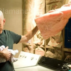 Armour - Solo Cadaver