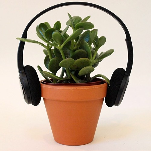 HousePlants *LiveMix*