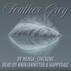 1 Feather Grey