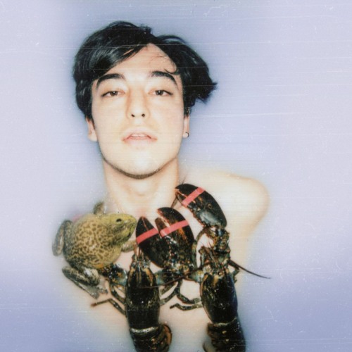 Stream Joji x Yung Lean Type Beat Die Cold by dear!! Listen online