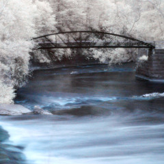 251217 - Trepidation