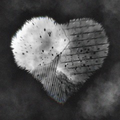 Feel the same - Ft. MP