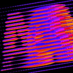 WAS. SERIES #36 - MAXIMOTO