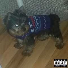clairo_samp_155BPM.wav