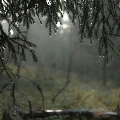 ♡ cancer ~ MCR / slowed + forest rain