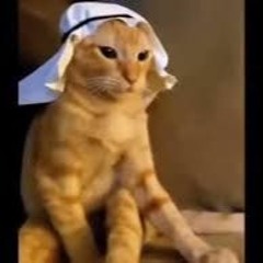 talking throught the 808 (arabic kitty intro)