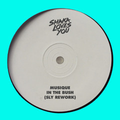 Musique - In The Bush (SLY Rework)