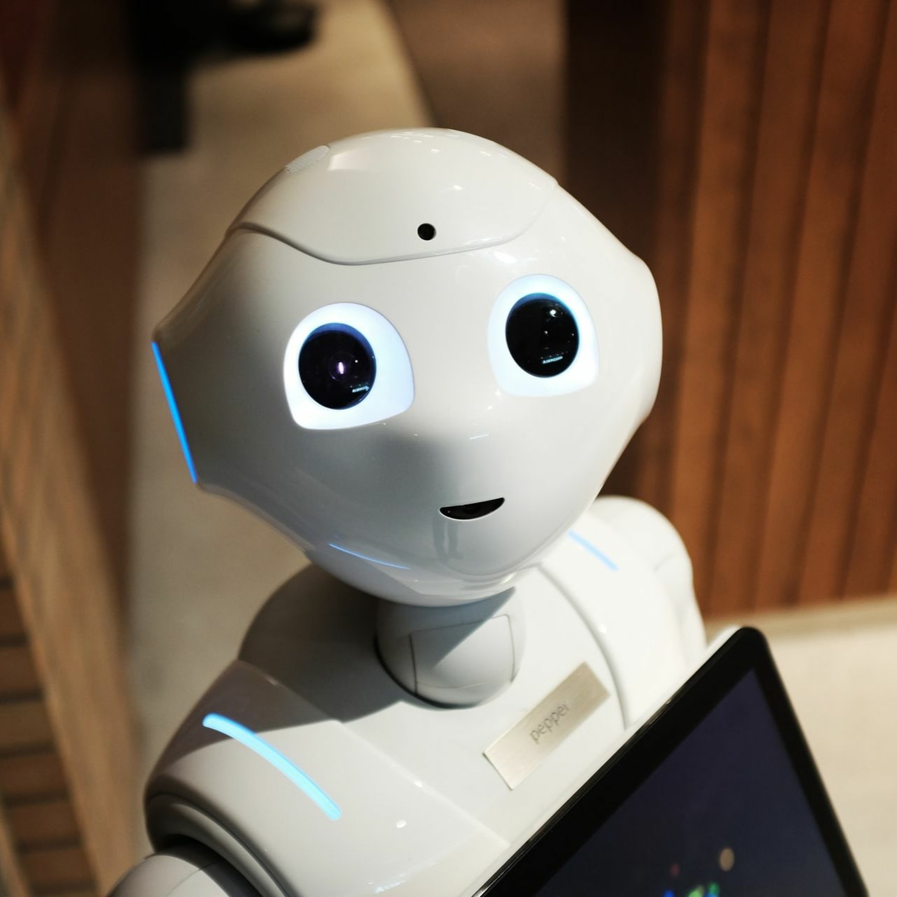 Le robot comme outil de simulation pour comprendre le cerveau