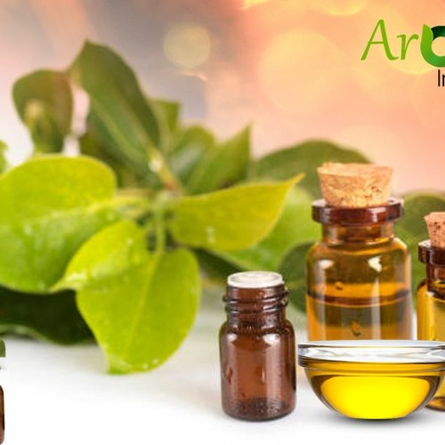 Stream Camphor Essential Oil Uses And Benefits by Aromaaz International