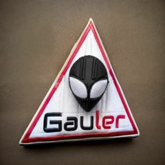 Gauler - (Takes Time)