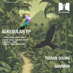 PREMIERE: Gammon - Jungle (Tigran Sound Remix) [ELEUTHERIA019]