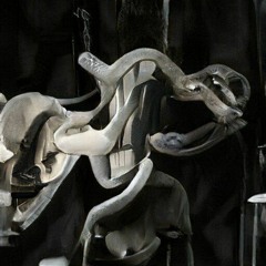 restless avenoir for dear memories forgotten