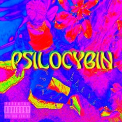 Litty Vuitton - Psilocybin (Prod. JPEG x ethereal nut)