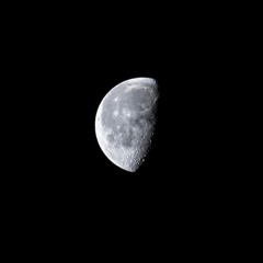 Solo (Prod. NateBroskii)