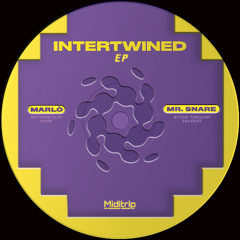 PREMIERE : Mr. Snare - Biting Through (Miditrip Records)
