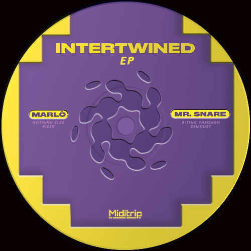 PREMIERE : Mr. Snare - Biting Through (Miditrip Records)