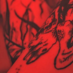 Your Flesh Tastes The Same (demo)
