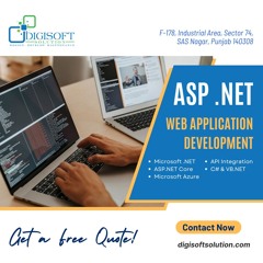 Top ASP.Net Web Application Development Services From Digisoft Solution