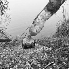 251210_time01std05min43sek