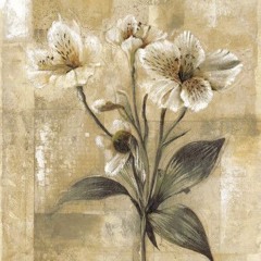 asian (serro)