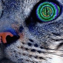 Ohmcore (Les Chats Perchés) - Mix Sheperland Bonjour (Part 1)