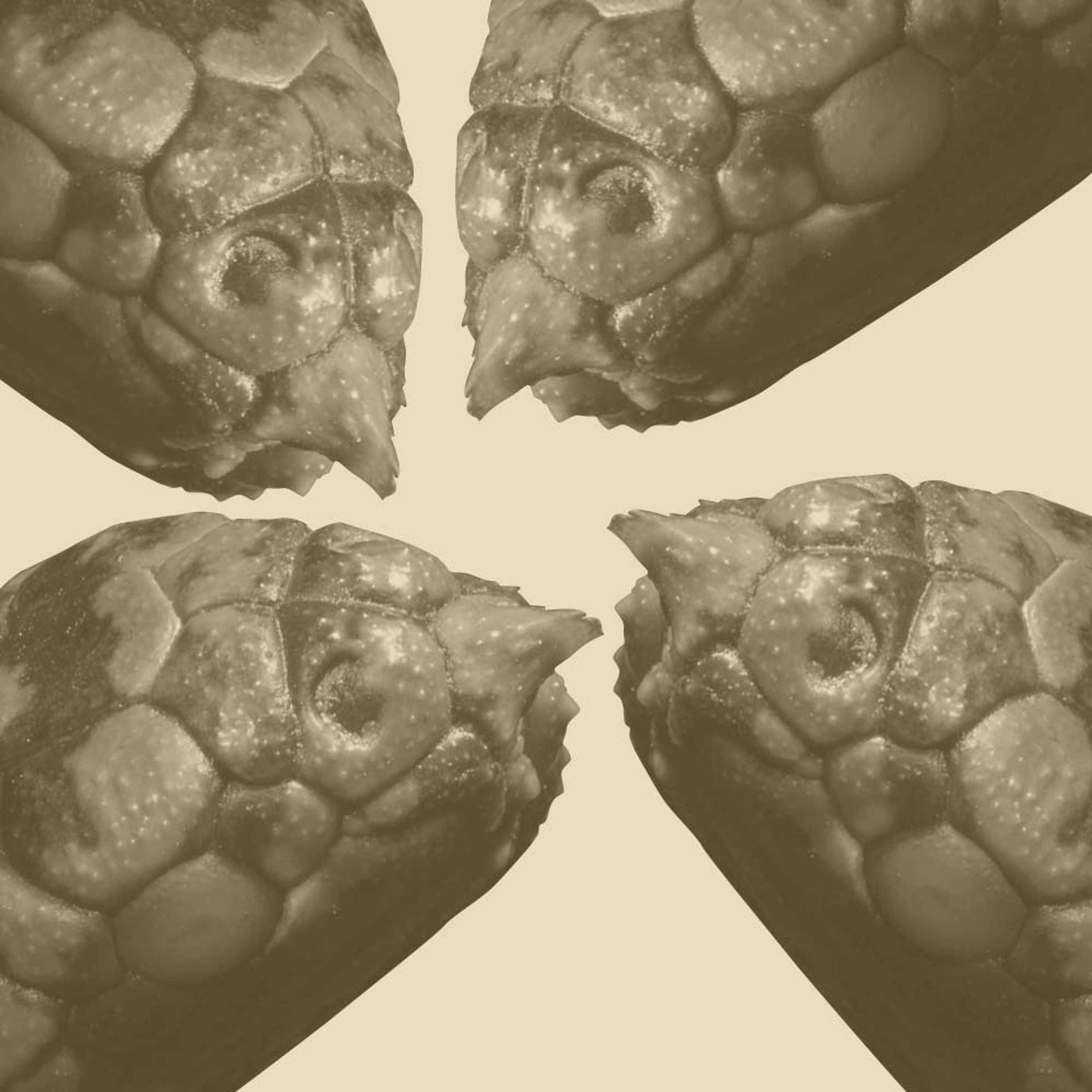 Linnean Podcasts